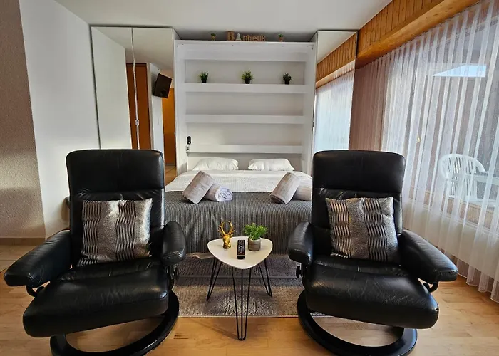 4206 Les Sources Aux Bains D'ovronnaz Aparthotel