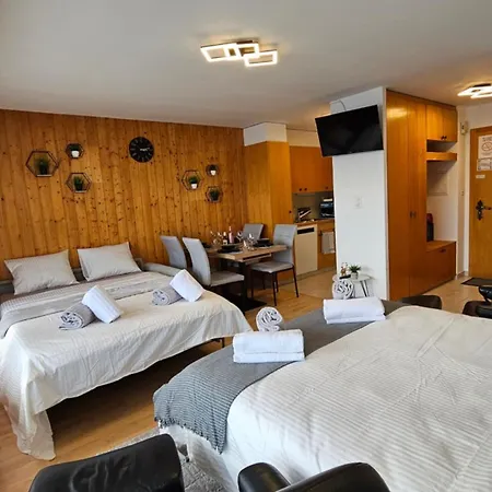 4206 Les Sources Aux Bains D'ovronnaz 3*